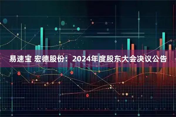 易速宝 宏德股份：2024年度股东大会决议公告