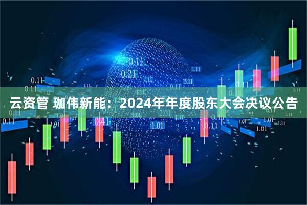 云资管 珈伟新能：2024年年度股东大会决议公告