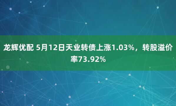 龙辉优配 5月12日天业转债上涨1.03%，转股溢价率73.92%