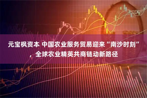 元宝枫资本 中国农业服务贸易迎来“南沙时刻”，全球农业精英共商链动新路径