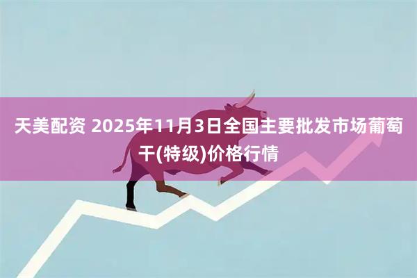 天美配资 2025年11月3日全国主要批发市场葡萄干(特级)价格行情