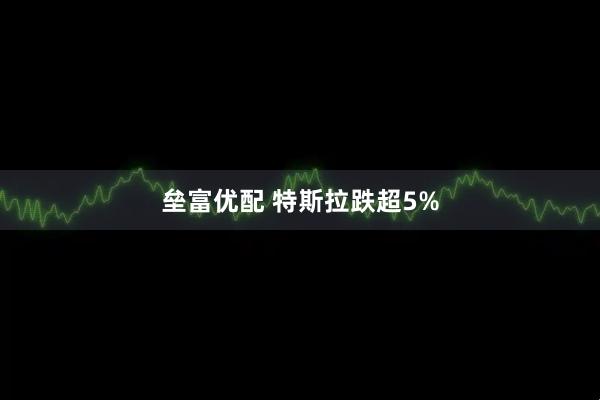 垒富优配 特斯拉跌超5%